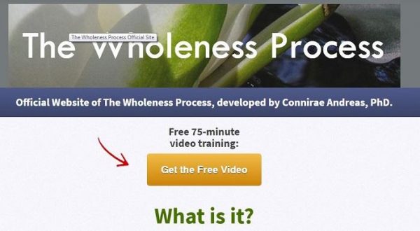 Connirae Andreas – The Wholeness Process