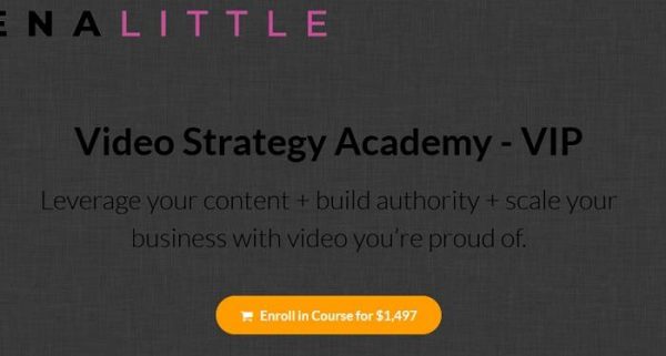 Trena Little – Video Strategy Academy (VIP)