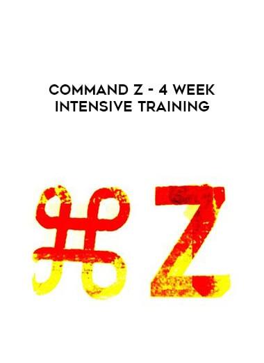 Command Z – 4 Week Intensive Training