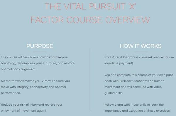 [Group Buy] The Vital Pursuit 'X' Factor Course