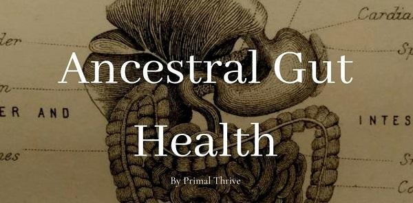 [Group Buy] Ancestral Gut Health by PrimalThrive