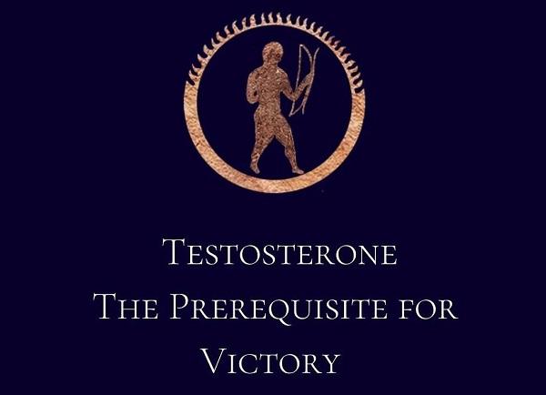 Testosterone: The Prerequisite for Victory (E - Book)