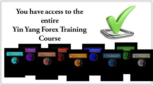 Yin Yang Forex Training Program – Trading Mastermind