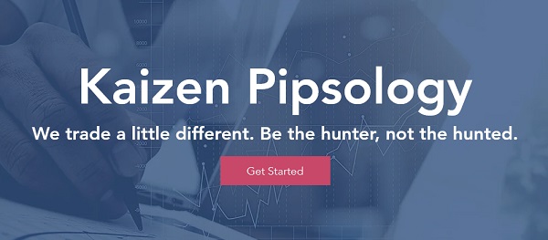 Kaizen Pipsology