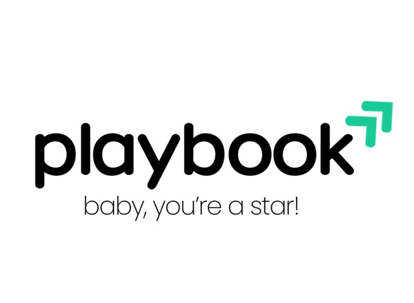 The Playbook - Ryan Lee